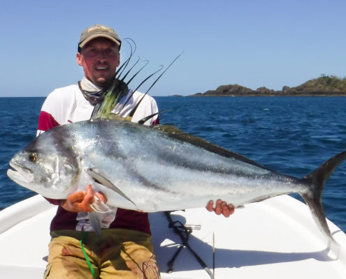 roosterfish panama