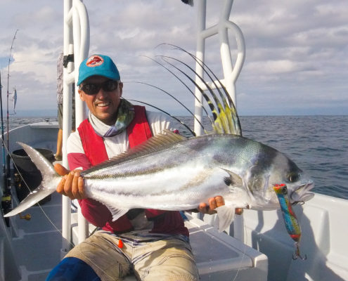 roosterfish panama