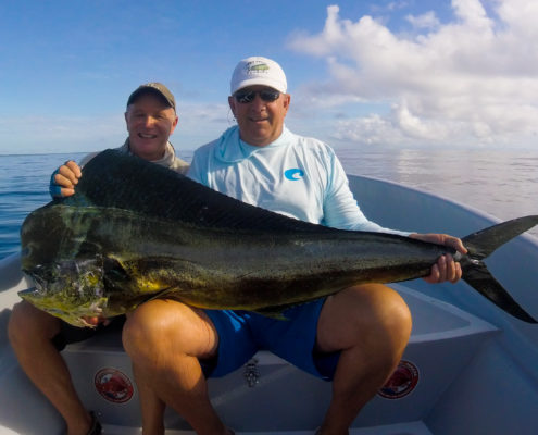 mahi mahi panama