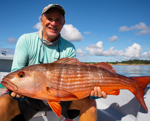 pargo lisa panama