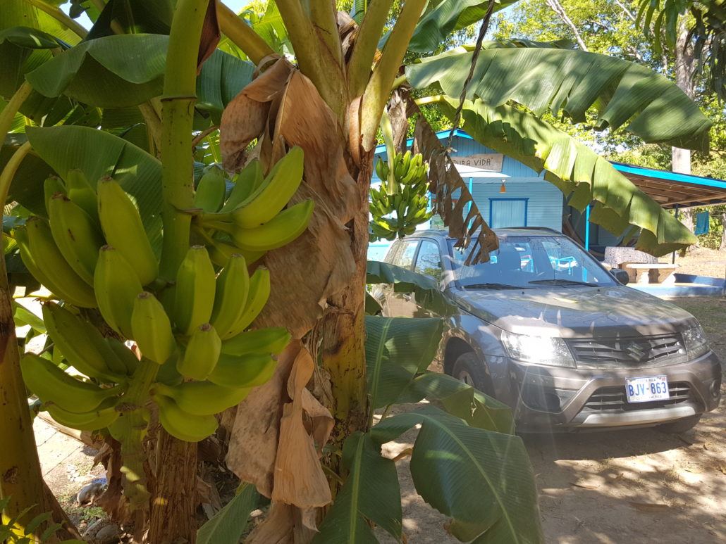 Geldzaken in Costa Rica: Betalen en Pinnen