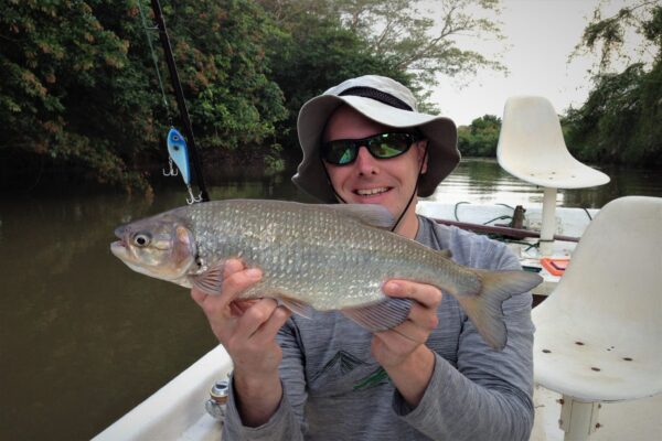 Vissen op de Corobici rivier