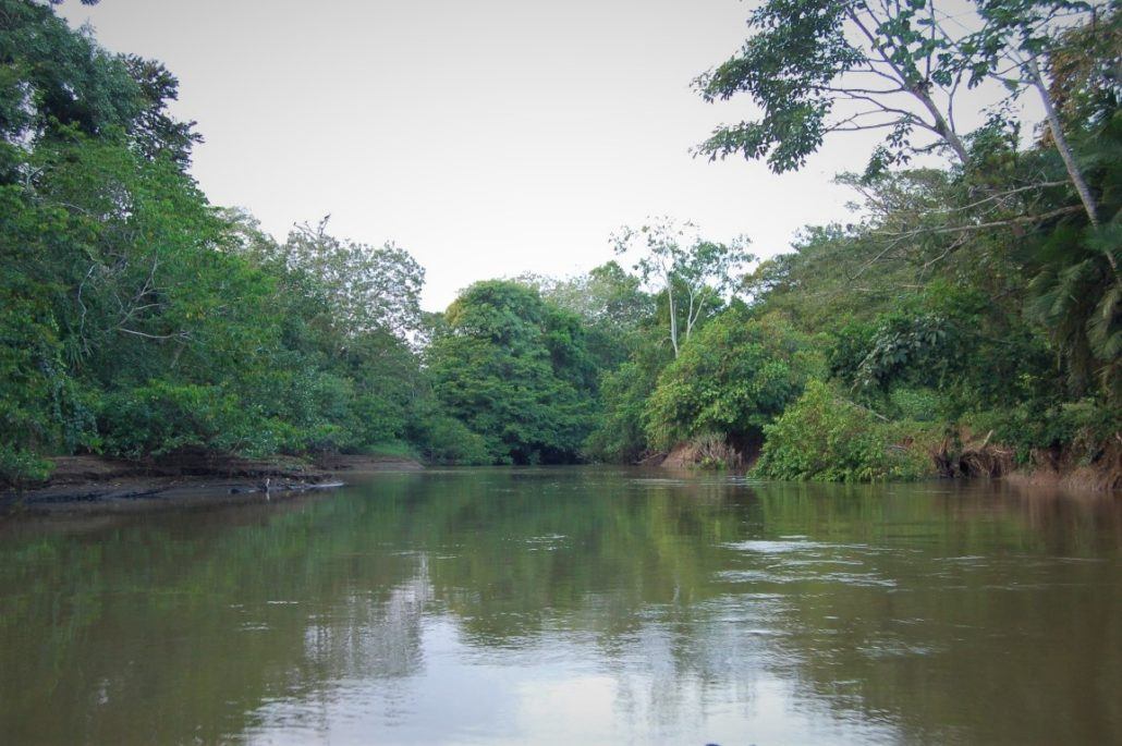 Nationale Parken Costa Rica: Toegang en Tips