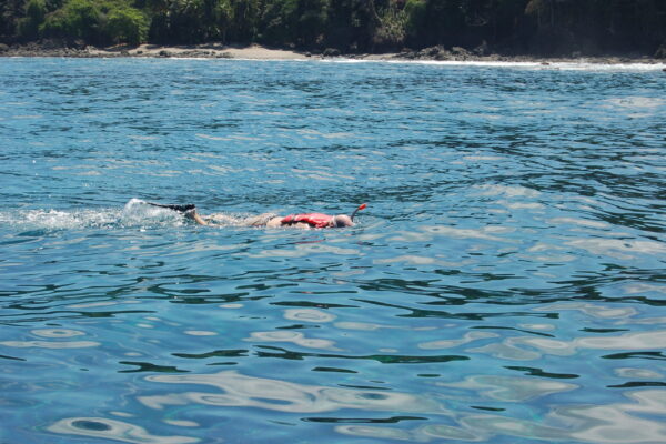 Snorkelen